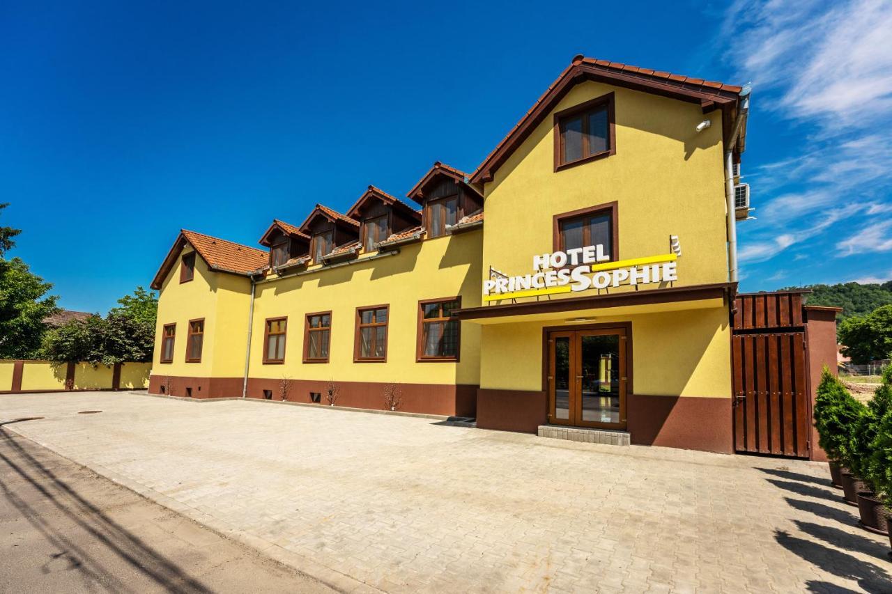 Hotel Princessophie Sighisoara Luaran gambar