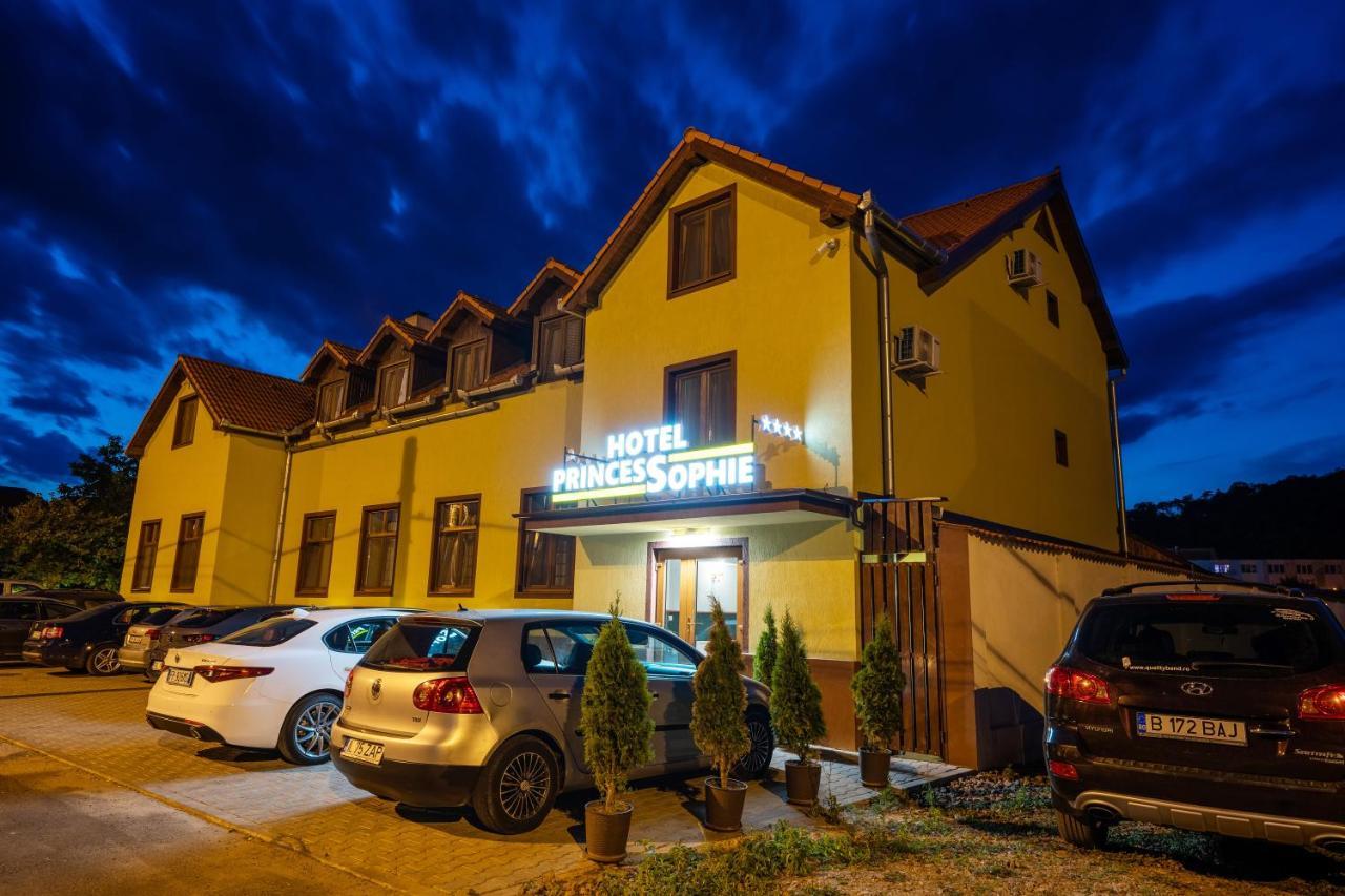 Hotel Princessophie Sighisoara Luaran gambar